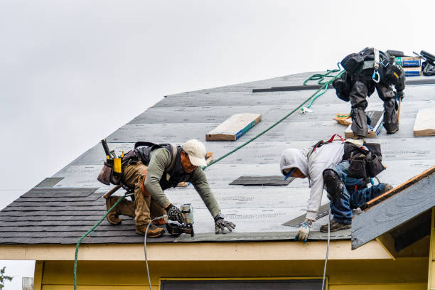 Professional Roofing technician working in Eastport, ME